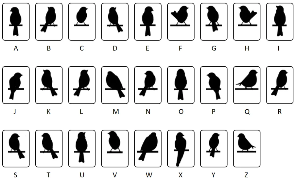 Birds on a Wire Cipher