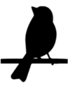 B symbol