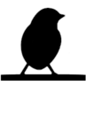 C symbol