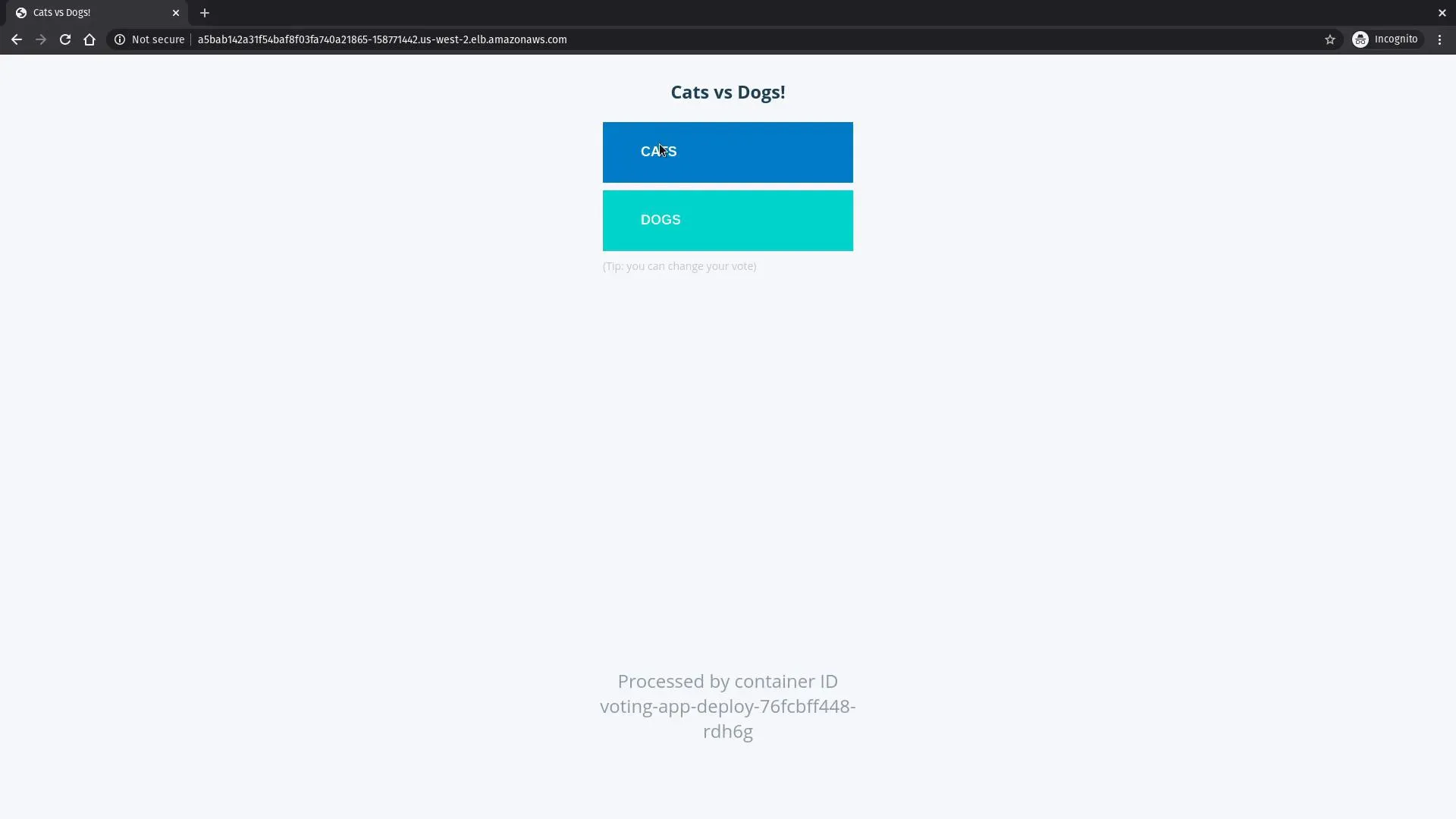 Cats vs dogs vote page on AWS