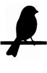 Birds on a Wire symbol for letter R