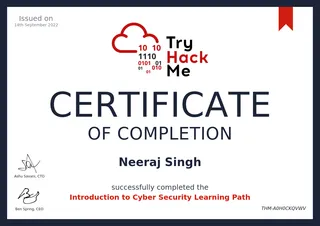 Jr. Penetration Tester